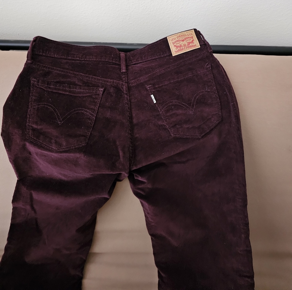 Corduroy pants